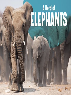 cover image of A Herd of Elephants